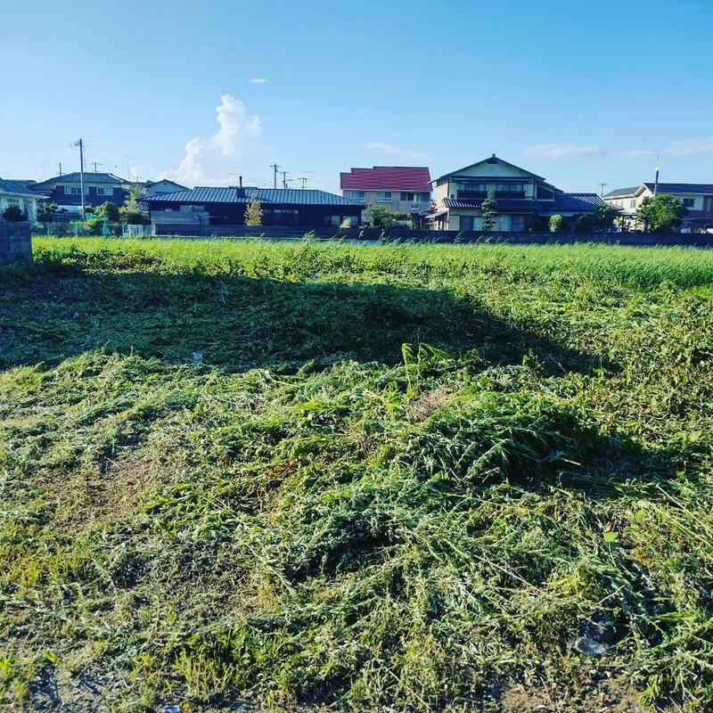 新居浜市・住宅地の空き地の作業後。敷地全体の草が刈り払われている