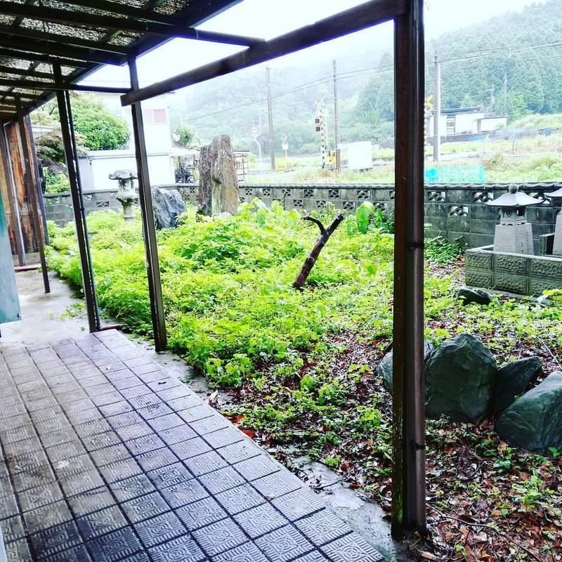 新居浜市・空き家のお庭の作業前。庭石や灯籠が雑草に埋もれている